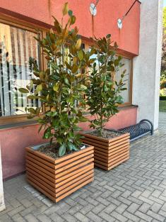 Zelenšie námestie v&nbsp;Sološnici  1